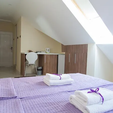 Guest house Center *